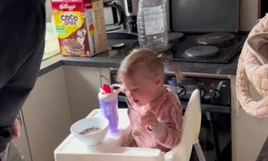 Toddler tells dad to go outside because he's annoying