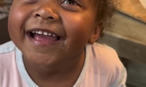 Little girl hilariously explains what she did in school