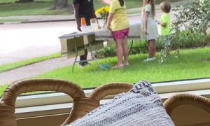 This is why you ALWAYS stop at the lemonade stand