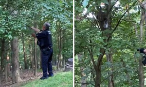Police rescue raccoon with head stuck in jar
