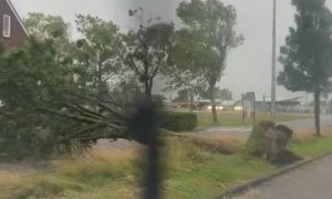 Mighty winds bring down tree in De Rijp, Netherlands