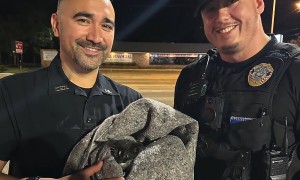 Police officers rescue kitten stuck in storm drain