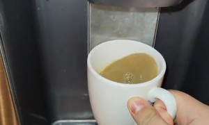 Pennies Pour From Ice Dispenser