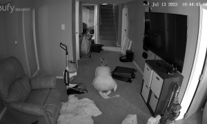 Woman Trips Over Suitcase And Vacuum