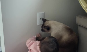 Oliver Protects Ayla From Outlet