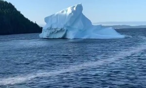Iceberg In Goodyears Cove