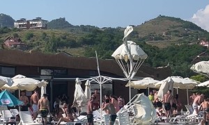 Wild Winds at the Waterpark