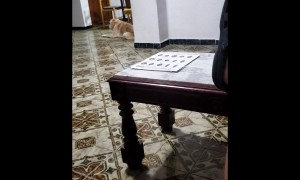 Face Cutout Causes Scare