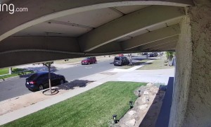 Amazon Delivery Driver Goes for a Swim