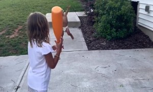  Sister accidentally smacks brother in the face with baseball