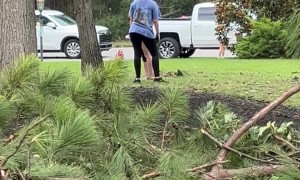 Distant Tornado Becomes Real Concern