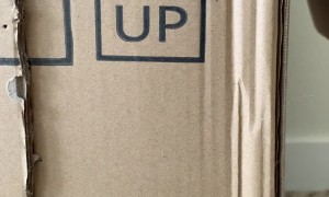 He Does Not Tolerate Soliciting At This House