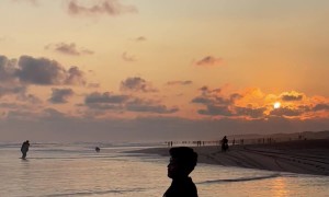 Big Wave Bungles Beach Relaxation