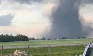 Summer Storms In Alberta