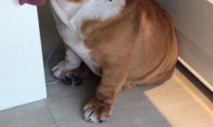 What is going through his head?