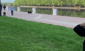 Disc Toss Turns To Swimming Day