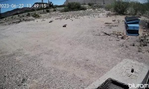 Dust Devil Quickly Damages Property