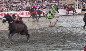 Incredible Bareback Horse Mount At Calgary Stampede Relay