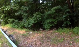 Hard Shell Needs a Helping Hand