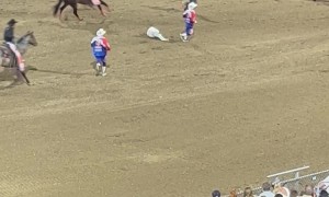 Matador Injured by Bull at Rodeo