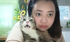 Adorable Staring Contest Between Cat and Owner