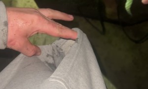 Crayfish Clutches onto Man's Finger