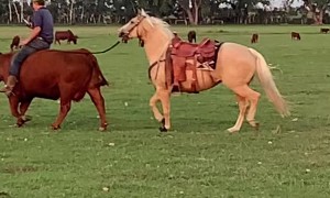 Something's a Little Backwards on This Ranch