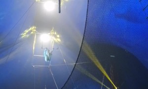 Trapeze Artist Falls Into Crowd