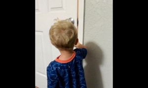 Little Lockpick Opens Door