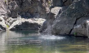 Real Time Reaction To Cold Water