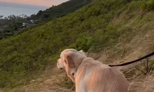 Name a Better Bathroom view…  I’ll Wait