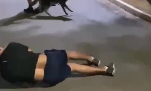 Capybara Causes Runner to Fall Over