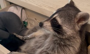 Lounging in the Laundry