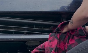 Pileated Woodpecker Rescued From Car Grille