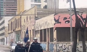 Firefighter dog shows incredible discipline