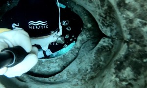 Diver Squeezes Through Underwater Tunnel