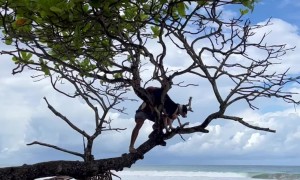 Costa Rica Dog Rescue