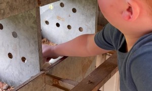 Little Guy Needs Kisses from Mom for Head Bump