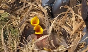 Boating Season Put on Hold