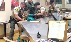 Woman Detained After Airport Meltdown