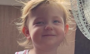 Kiddo Discovers Fan for the First Time!