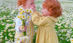 Two Siblings Explore a Chamomile Field