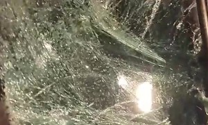 Family Vacation Ends in Car Crash