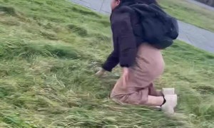 Intense Winds in Ireland