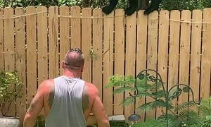 Man and His Yorkie Encounter Black Bear in Backyard