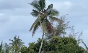 When You Don't Have Tickets to the Game