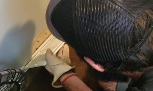 Bat Tries To Be A Secret Agent