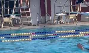 Iconic Older Man Dominates Diving Board