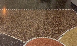 Cats Create a Dinner Disaster