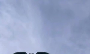 Man Willingly Lays Under Passing Combine